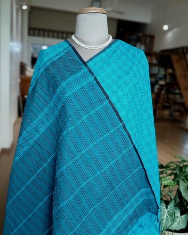 Kanchi kattam cotton handweave saree - Blue Checks - Image 5