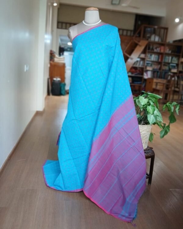 Kanchi kattam cotton handweave saree - Blue and Pink