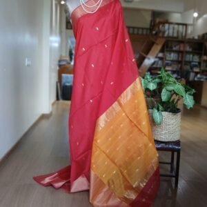 Maheshwari Silk Cotton Saree - (MSCS1001)