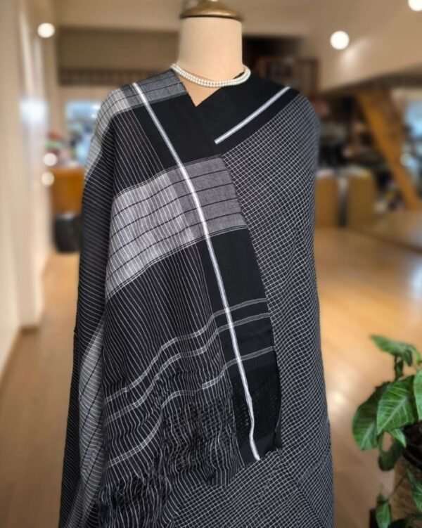 Pattedanchu Saree from Karnataka - (PATS0002) - Image 3
