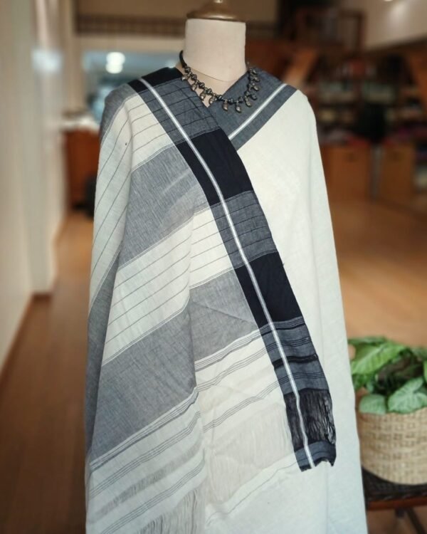 Pattedanchu Saree from Karnataka – (PATS0005) - Image 2