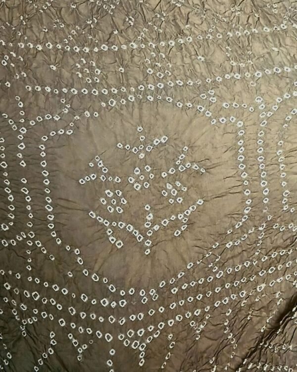 Luxurious Silk Dupatta/Shawl with very fine bandhani work - (LSDS0005) - Image 4