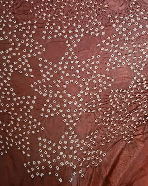 Luxurious Silk Dupatta/Shawl with very fine bandhani work - (LSDS0006) - Image 4