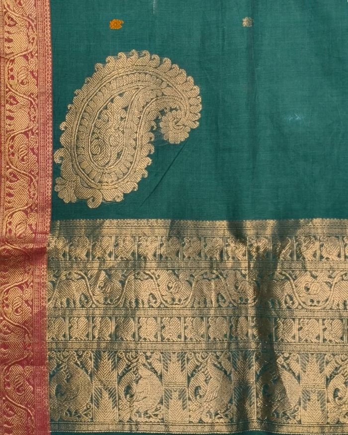 Kanchi Cotton Handweave with zari border - (KANC1136) - Image 12