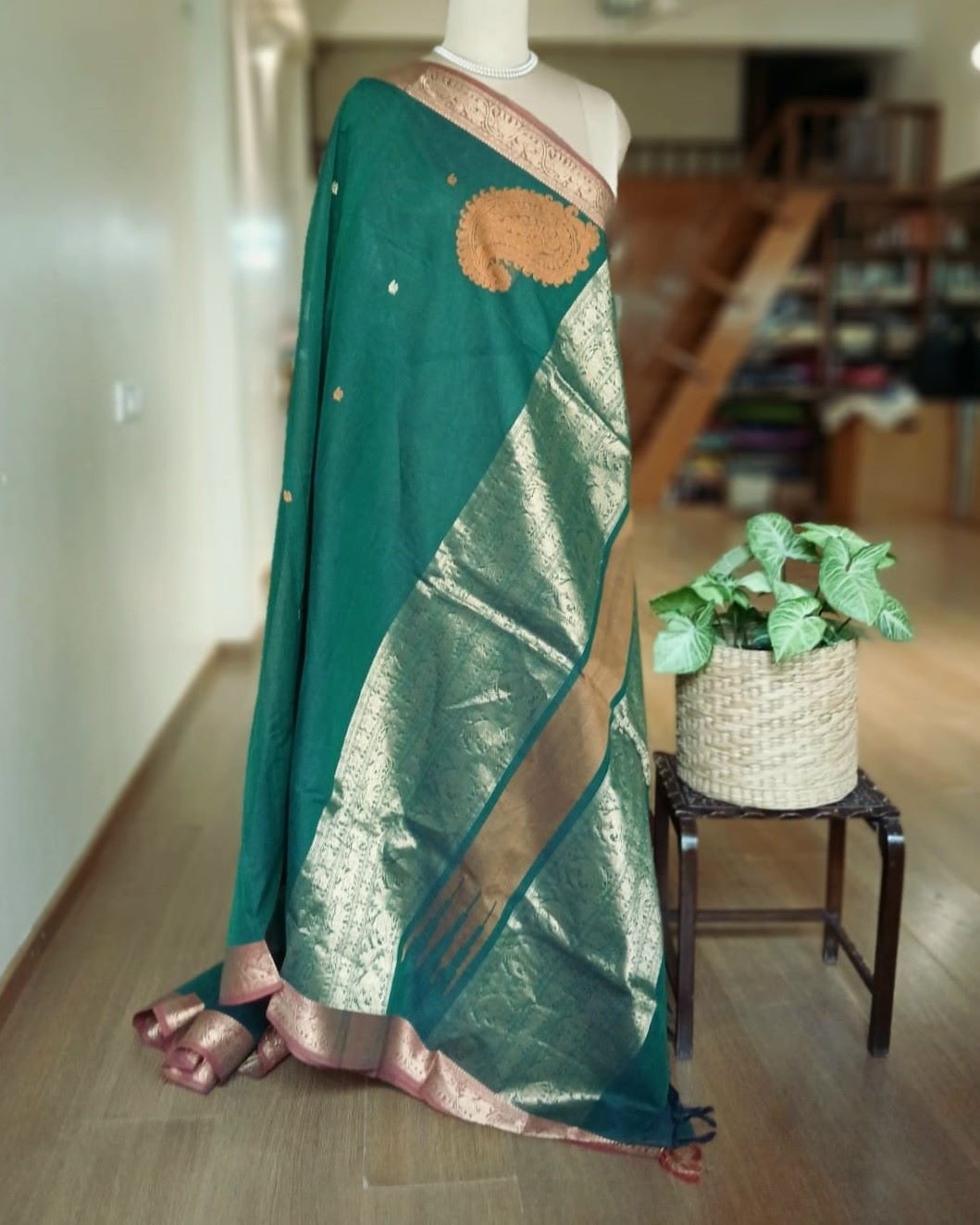 Kanchi Cotton Handweave with zari border - (KANC1136) - Image 6