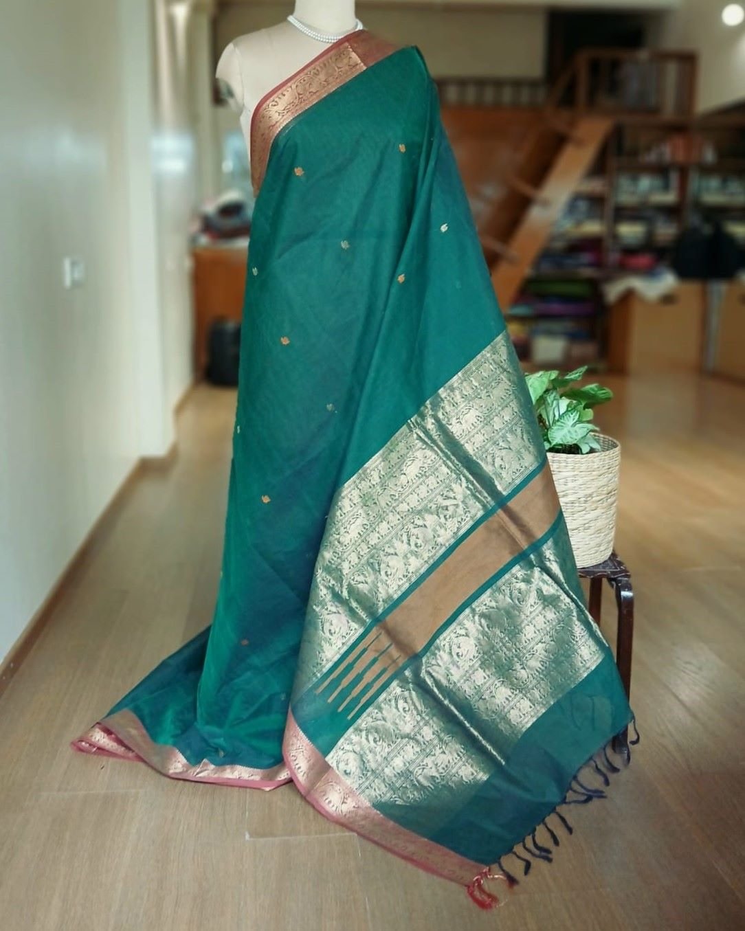 Kanchi Cotton Handweave with zari border - (KANC1136)