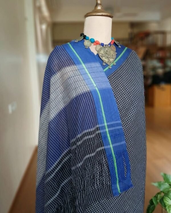 Pattedanchu Saree from Karnataka – (PATS0012) - Image 4