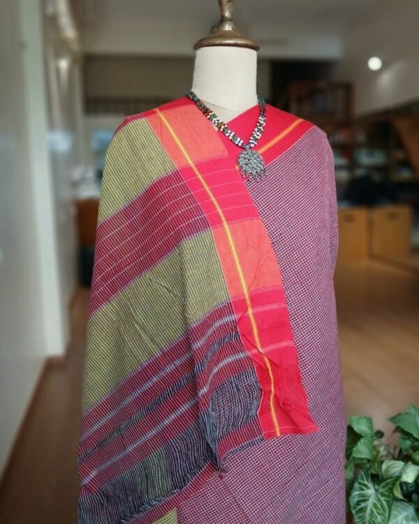 Pattedanchu Saree from Karnataka – (PATS0011) - Image 4