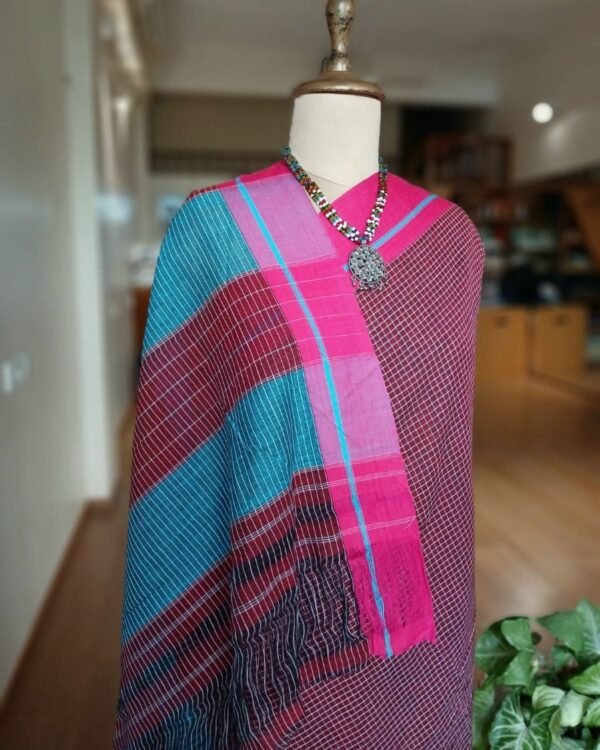 Pattedanchu Saree from Karnataka – (PATS0008) - Image 4