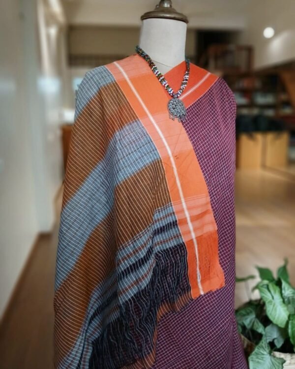 Pattedanchu Saree from Karnataka – (PATS0014) - Image 4
