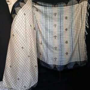 Tussar Kotpad Saree from Jeenu Panika – (CTKS0009)