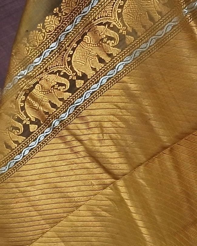 Grand Silk-Cotton Gadwal Handweave Saree with Zari Borders – (GHSS0016) - Image 6