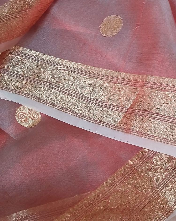 Sophisticated Tissue Zari Banarasi - (STZB0004) - Image 11