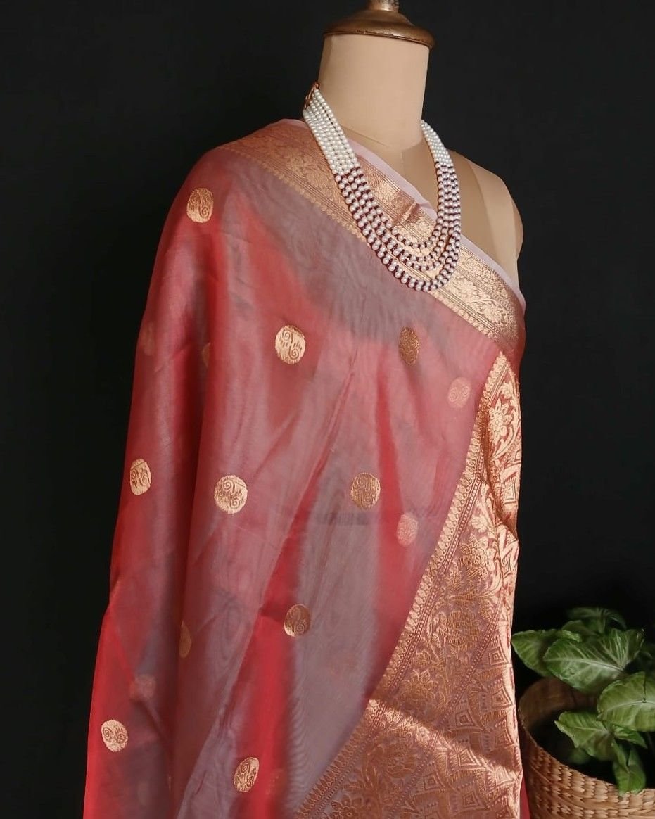 Sophisticated Tissue Zari Banarasi - (STZB0004) - Image 9