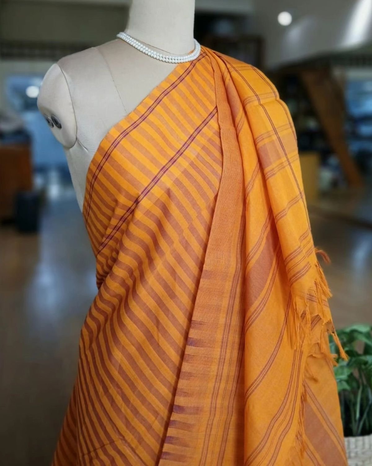Rasipuram Cotton Saree - (RCSA0001)