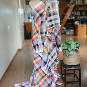 Multi-colour checks Bhujodi Saree Handwoven in Kala Cotton – (BHUJ1083)
