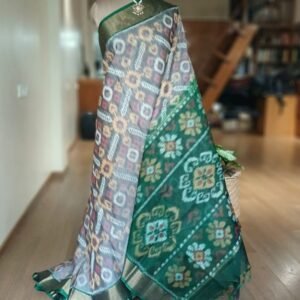 Handloom Single Ikat in Silk-Cotton Saree - (HSIS0017)