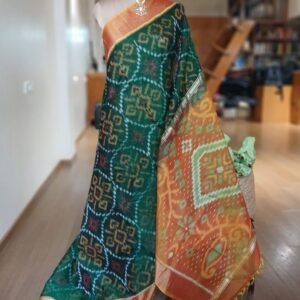 Handloom Single Ikat in Silk-Cotton Saree - (HSIS0033)