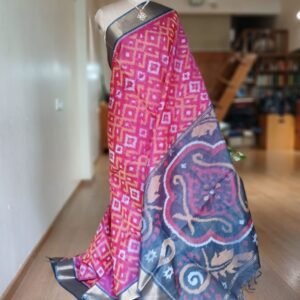 Handloom Single Ikat in Silk-Cotton Saree - (HSIS0001)