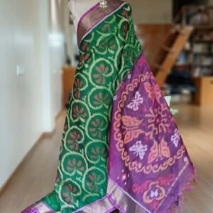 Handloom Single Ikat in Silk-Cotton Saree - (HSIS0021)