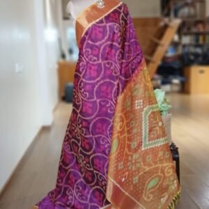 Handloom Single Ikat in Silk-Cotton Saree - (HSIS0024)