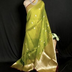 Pure Silk Organza Banarasi Saree - (PSOB0003)