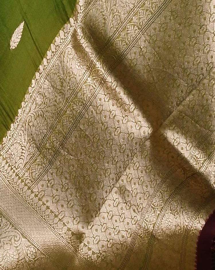 Pure Silk Organza Banarasi Saree - (PSOB0003) - Image 4