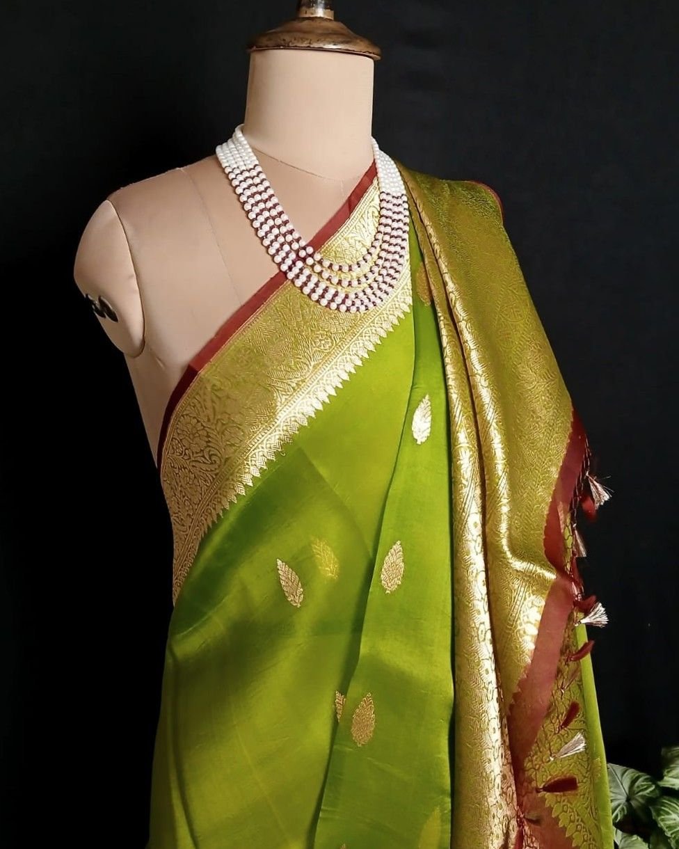 Pure Silk Organza Banarasi Saree - (PSOB0003) - Image 5