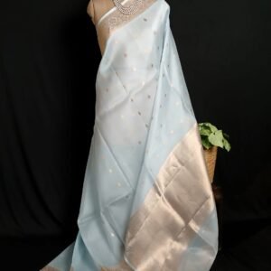 Sona Rupa Pale Green Pure Organza Banarasi Saree - (PSOB0004)