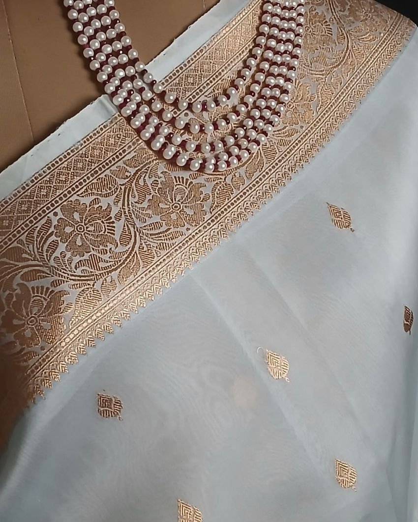 Sona Rupa Pale Green Pure Organza Banarasi Saree - (PSOB0004) - Image 3