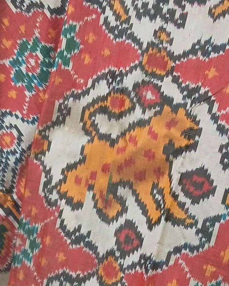 Figurative Pure Silk Ikat Saree - (NZIS0018) - Image 3