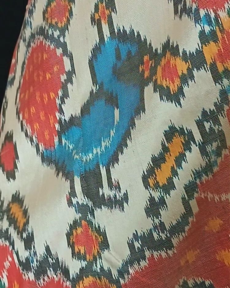 Figurative Pure Silk Ikat Saree - (NZIS0018) - Image 4