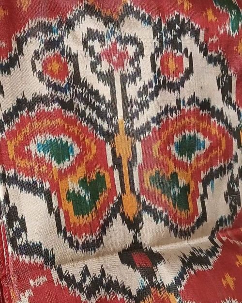 Figurative Pure Silk Ikat Saree - (NZIS0018) - Image 5