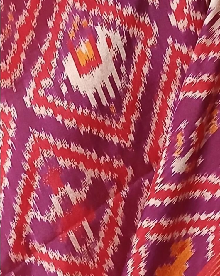 Figurative Pure Silk Ikat Saree in a Grid Design - (NZIS0010) - Image 4
