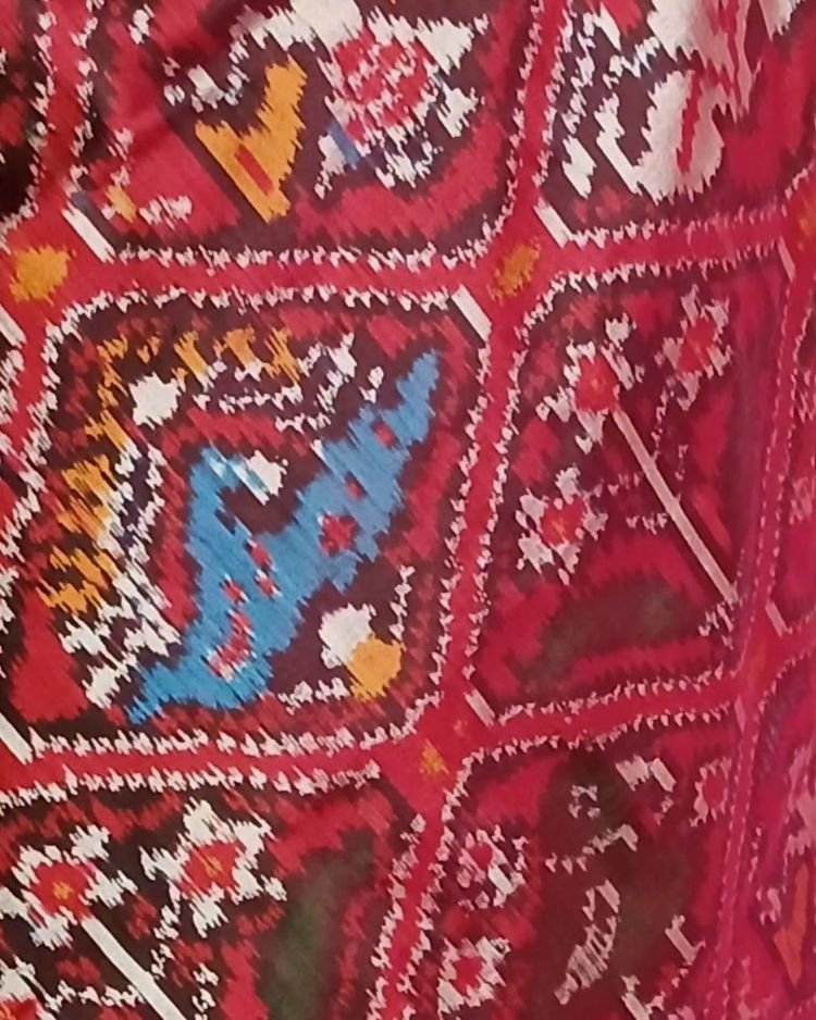 Figurative Pure Silk Ikat Saree in a Grid Design - (NZIS0012) - Image 3