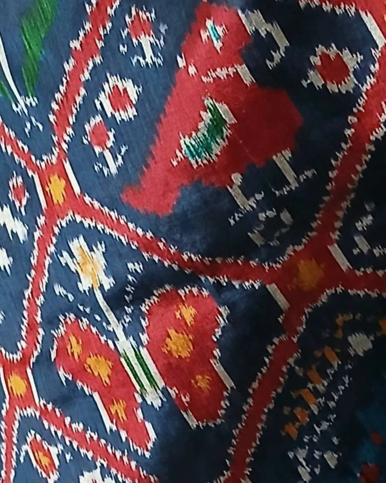 Figurative Pure Silk Ikat Saree in a Grid Design - (NZIS0013) - Image 4