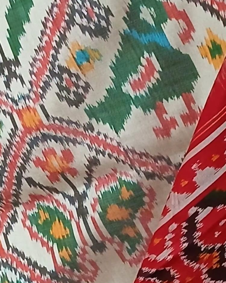Figurative Pure Silk Ikat Saree in a Grid Design - (NZIS0014) - Image 4