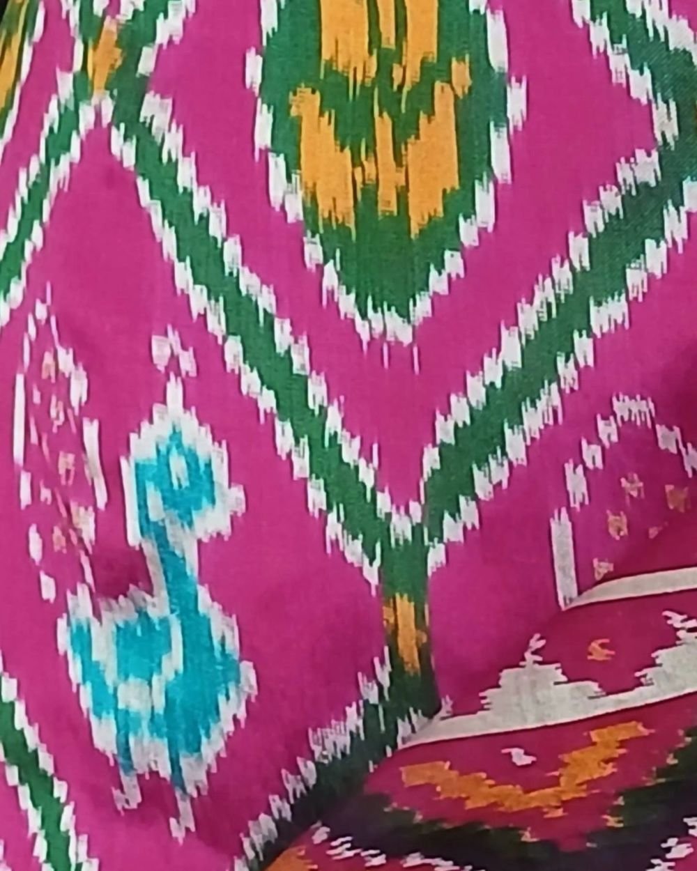 Figurative Pure Silk Ikat Saree - (NZIS0017) - Image 3