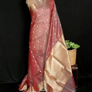 Sophisticated Tissue Zari Banarasi – (STZB0007)
