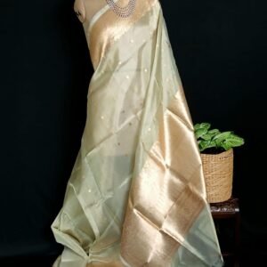 Sophisticated Tissue Zari Banarasi – (STZB0009)
