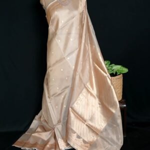 Sophisticated Tissue Zari Banarasi – (STZB0010)