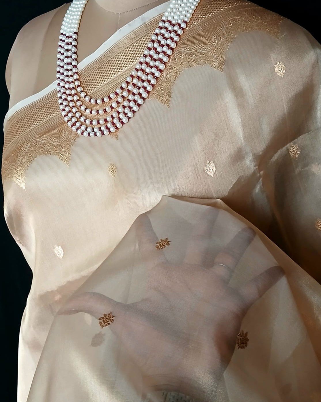 Sophisticated Tissue Zari Banarasi – (STZB0010) - Image 4