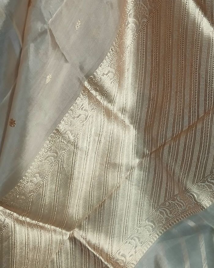 Sophisticated Tissue Zari Banarasi – (STZB0010) - Image 5