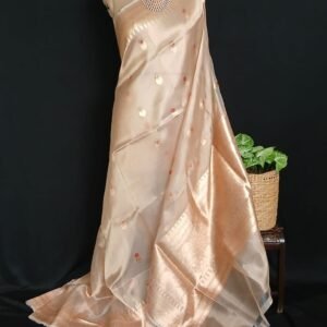 Sophisticated Tissue Zari Banarasi – (STZB0012)