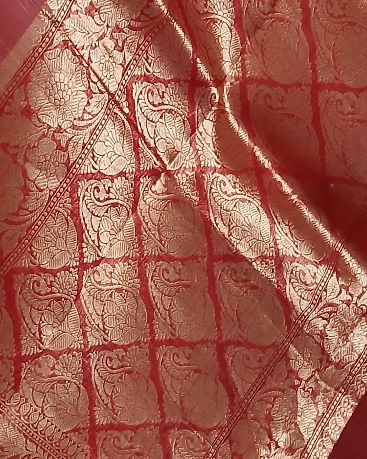 Pure Silk Organza Banarasi Saree - (PSOB0006) - Image 4