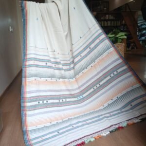 Bhujodi Saree Handwoven in Kala Cotton – (BHUJ0025)