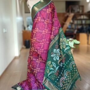 Handloom Single Ikat in Silk-Cotton Saree – (HSIS0036)