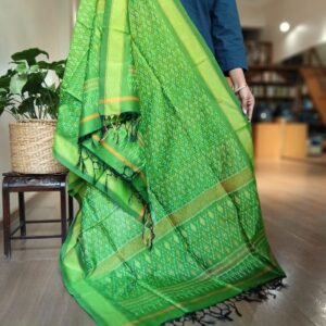 Silk-cotton Ikat Dupatta from Telengana – (SCDT0076)